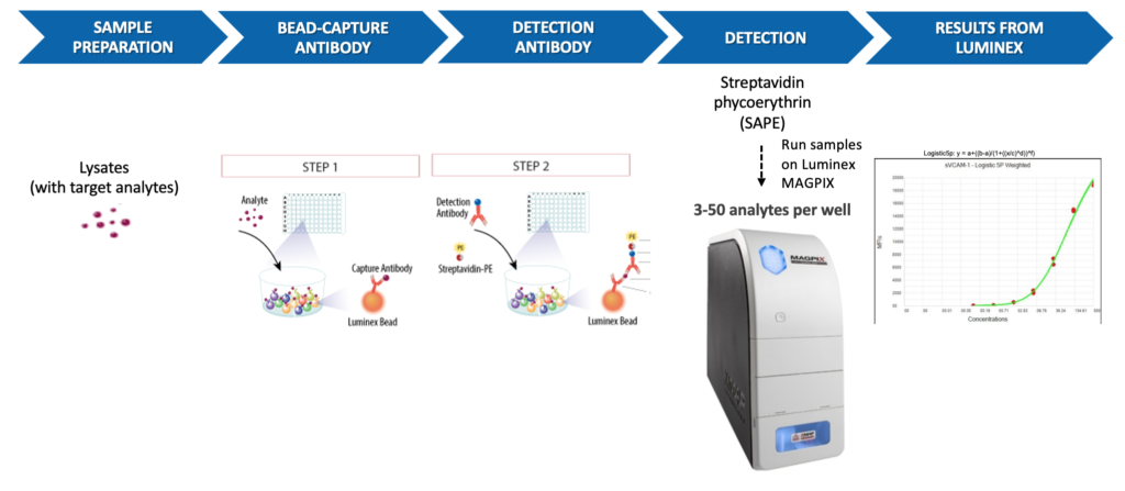 Immunoassays - Cellomatics Biosciences