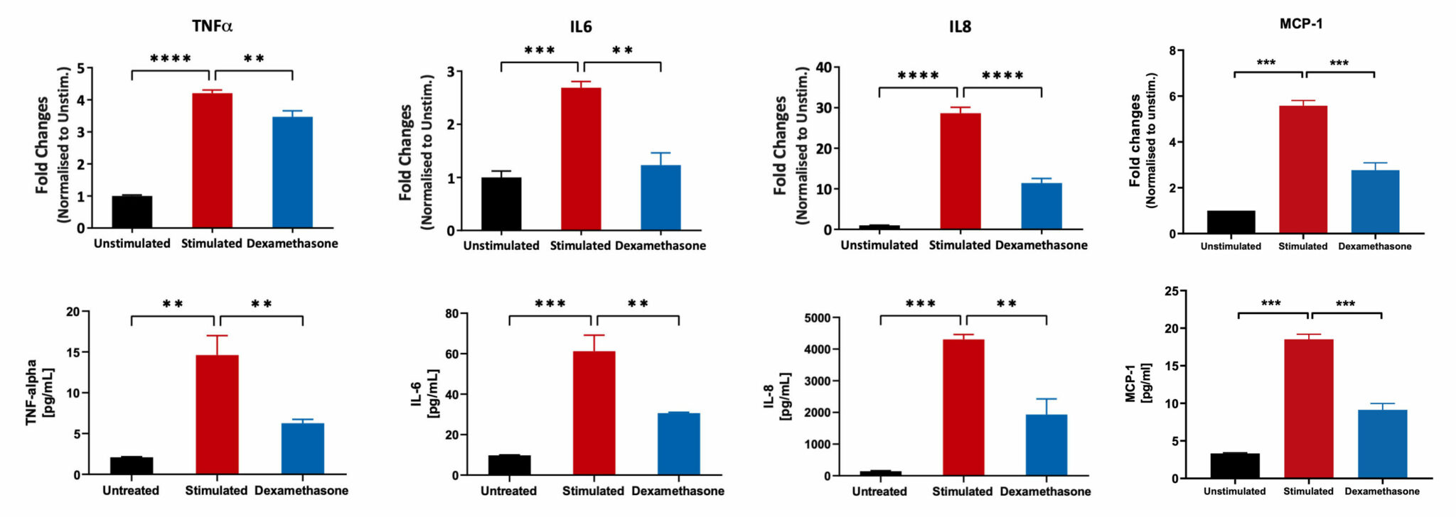 IBD Models - Cellomatics Biosciences