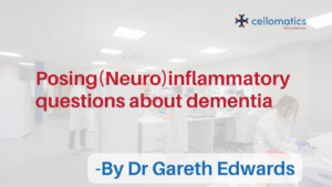 Posing (Neuro)inflammatory questions about dementia