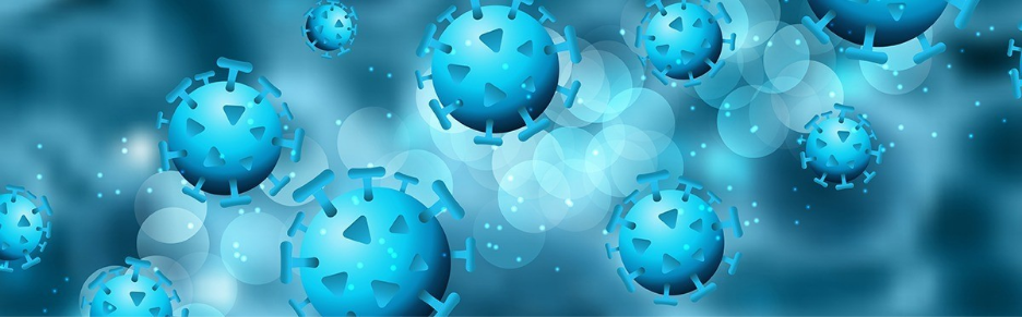 Monocyte derived macrophages differentiation and characterization workflow